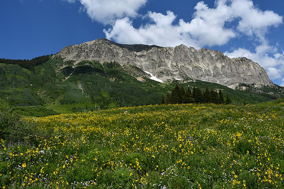 DSC_9095