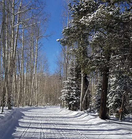 4 trail in mountains