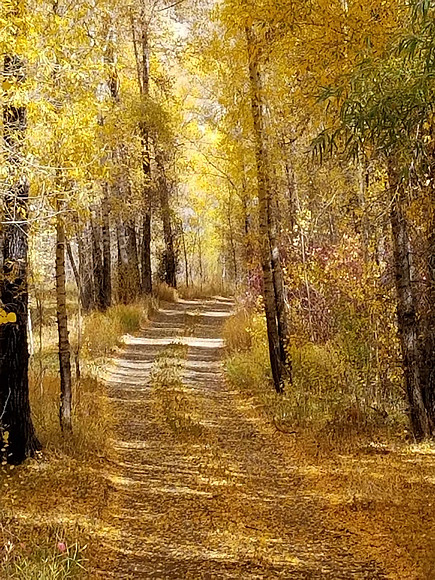 20181003_112629