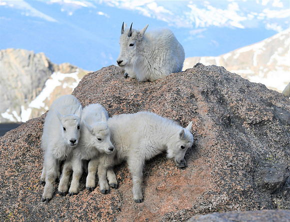 Learning To Climb_6184.2