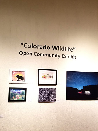 1st Gallery Exhibit ever  20190105_101926