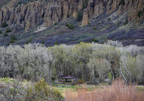 West Elk Cove_9673