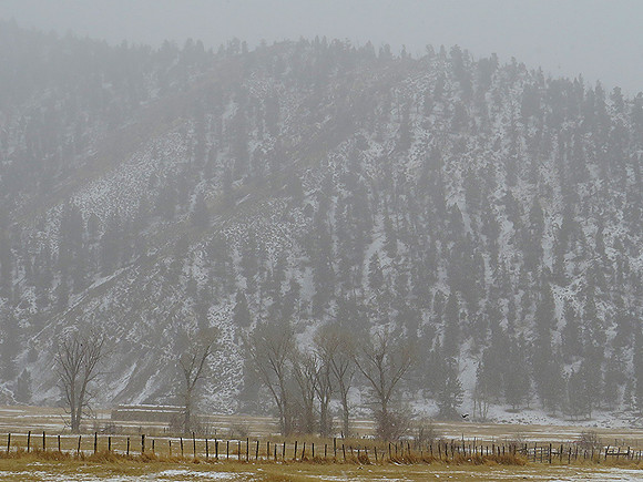 The Veil of Winter_0635