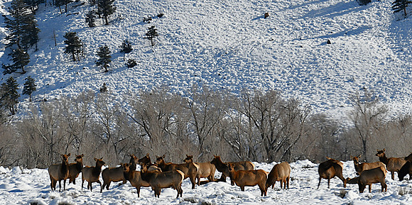 North of Town_8667