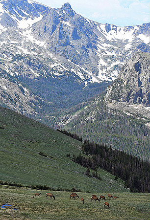 Grandeur_2623