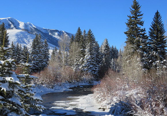 Winter_1503