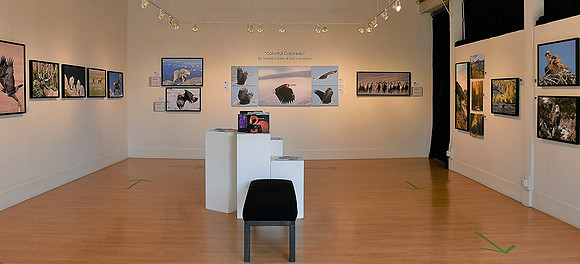 Colorful Colorado Gallery Show June 2020