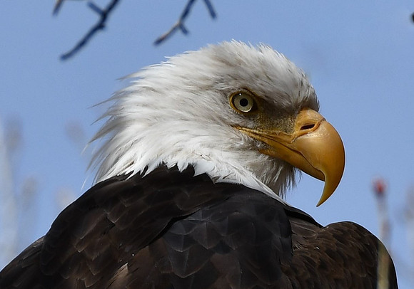 Directly At You_9540