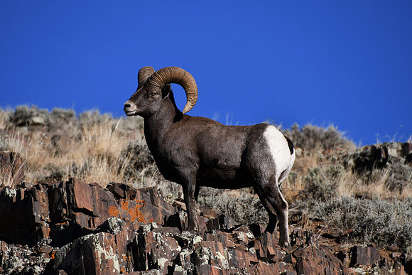 Pwerful Stance _6966