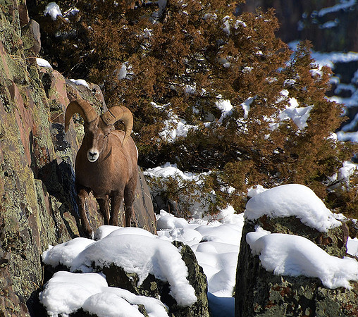 On The Edge_2037