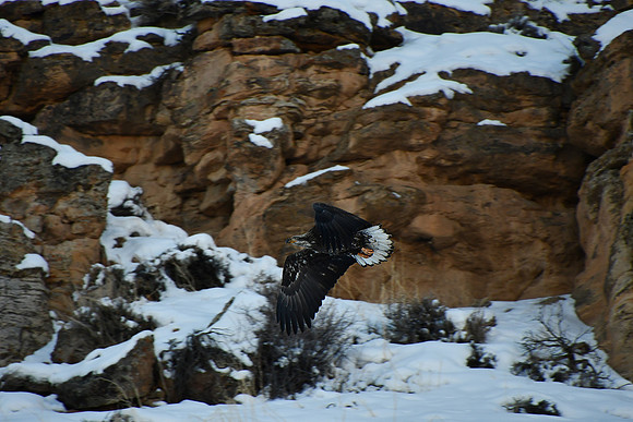 Skimming the Ground_5180