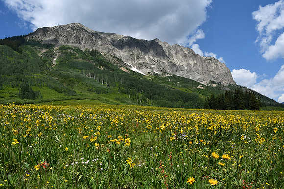 Gothic Mtn_9270