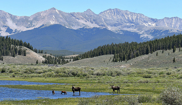High Elevation Splendor_0234