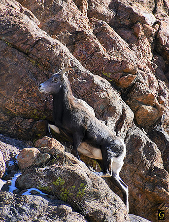 Climbing Higher_6376 G