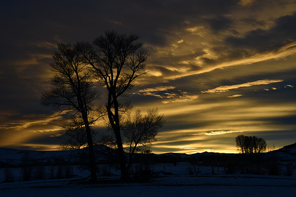 Morning Light_6929