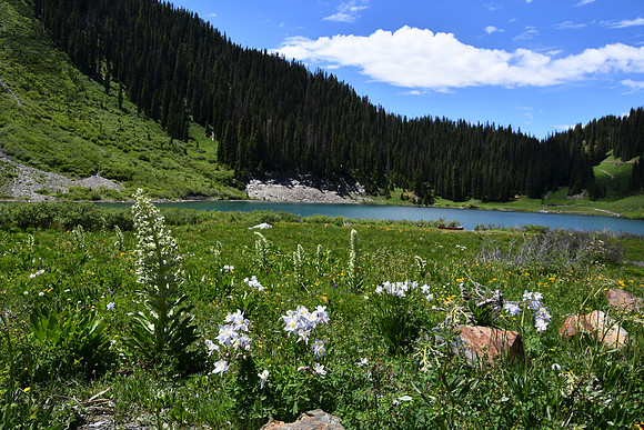 Emerald Lake_3970