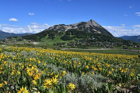 Mt. Crested Butte_4276