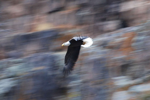 Warp Speed_0938