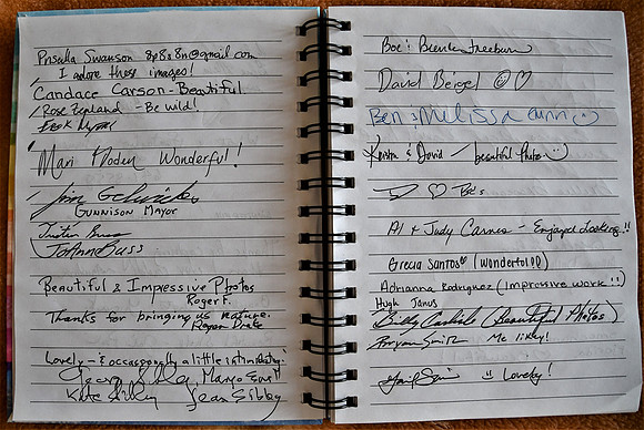 Guest Comments 1 _6862