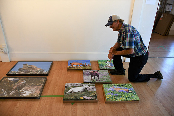 His display_9174