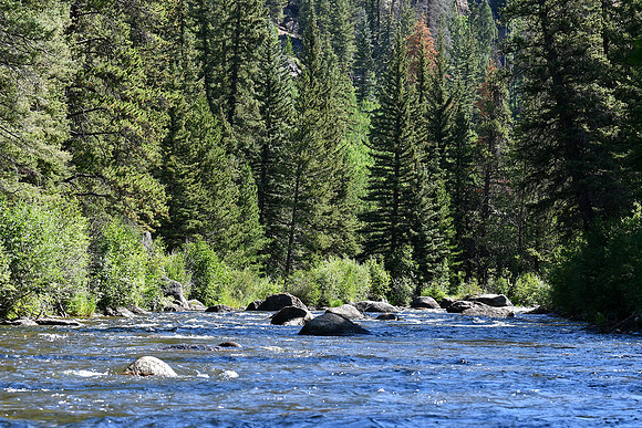 Taylor River_3968
