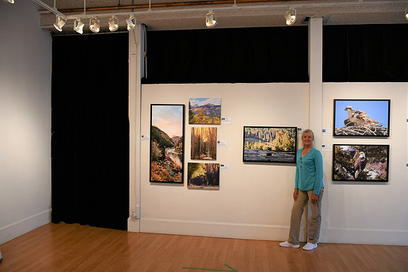 Autumn Display_9194