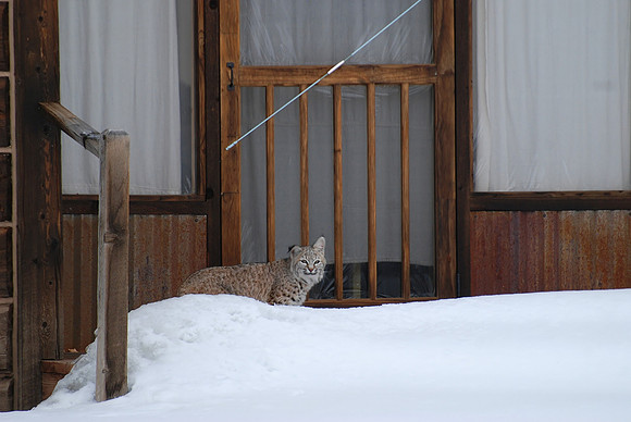seasonal guesthouse_0915