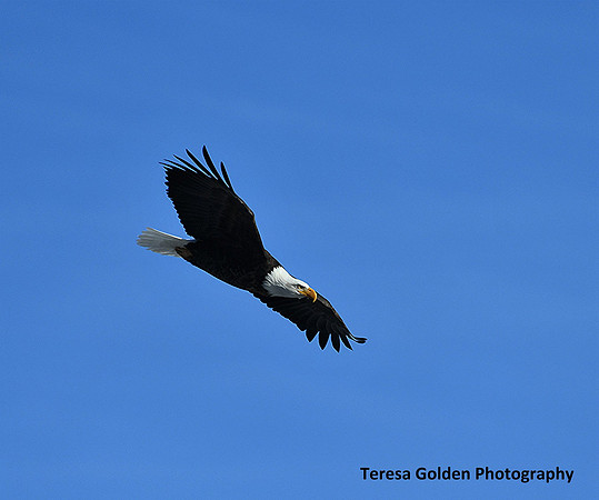 On the wind