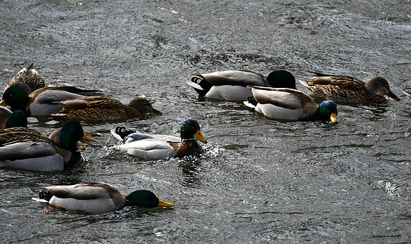 Rinsing Off_2200