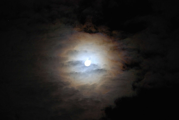 Portal   4.24.2013_0358