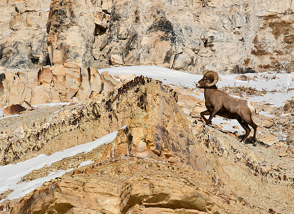Adventure on the Cliffs_2365