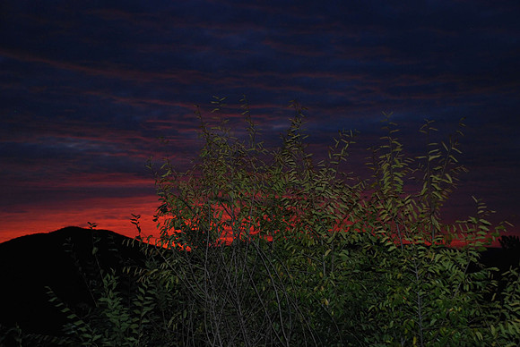 sunrise above Cotopaxi, CO, loft_0992