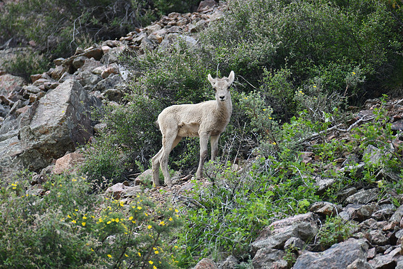 New Life_5694