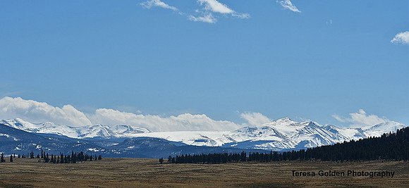 elk mountains