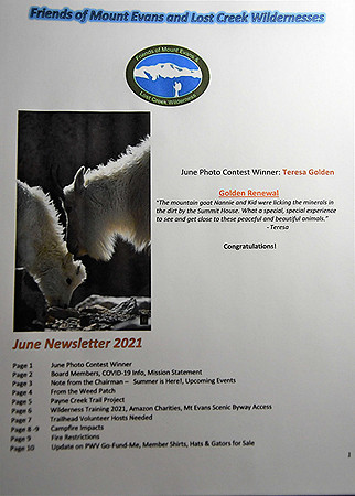 Friends of Mt Evans June 2021 Newsletter Highlight_3318