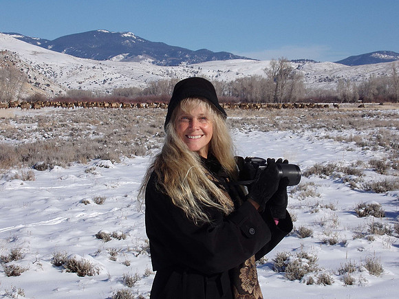 Photographing elk herd at minus 20 F
