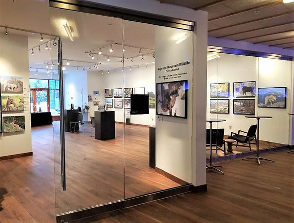 Center for the Arts, Kinder-Padon Gallery, Crested Butte, CO