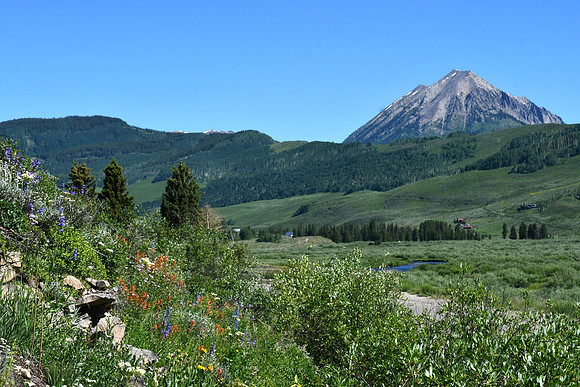 Mountain view_4960