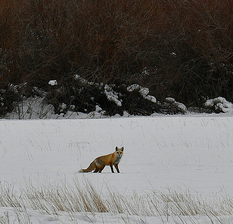 DSC_8120