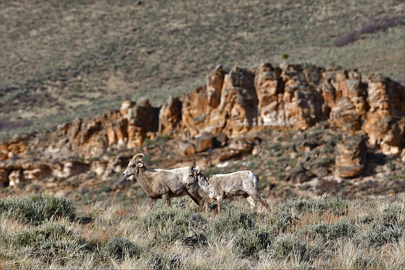 Colorado Country_7541
