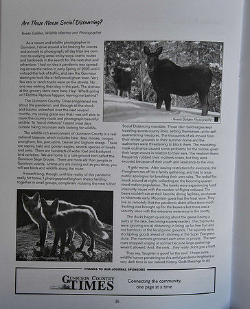 HUMOR FROM THE WILDSIDE ARTICLE 2020_7238
