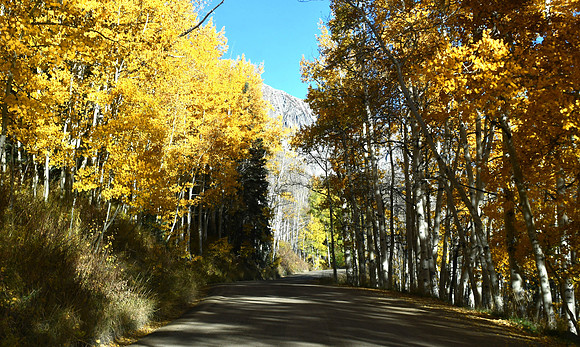 Pretty Drive_4844