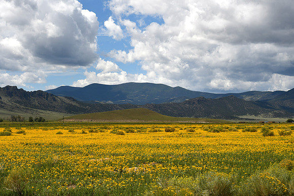San Luis Valley _3586