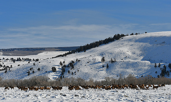 The Mountains north of Gunni_8563