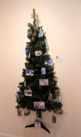 Wildlife Tree_6737