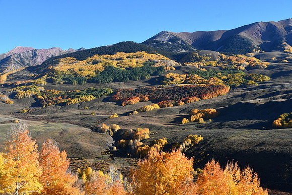 Autumn Blend_4830