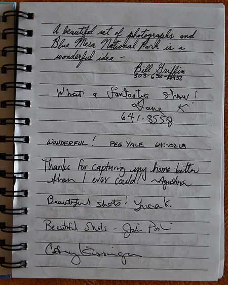 Guest Comments 3  _6860