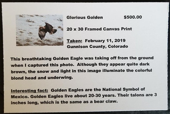 0 Description Gallery Card