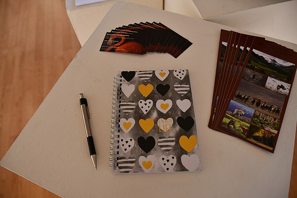 Display 2_4064
