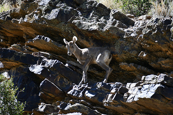Finding Balance_0665